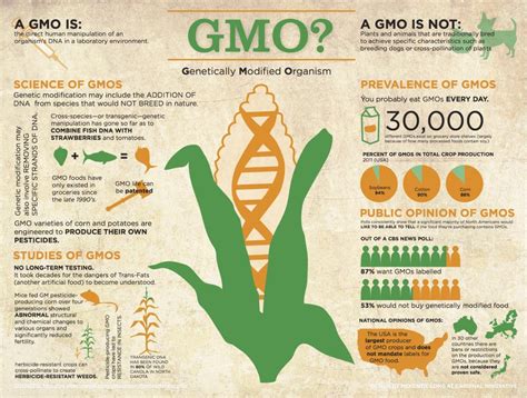 gmos are inexpensive